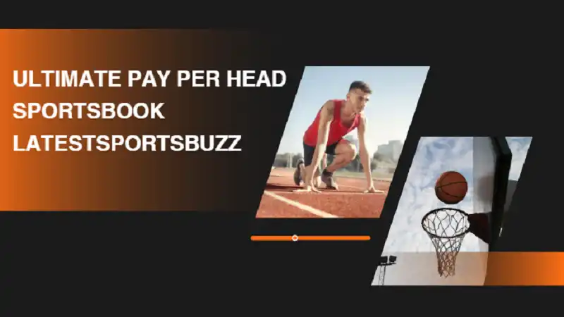 Ultimate Pay Per Head Sportsbook LatestSportsBuzz